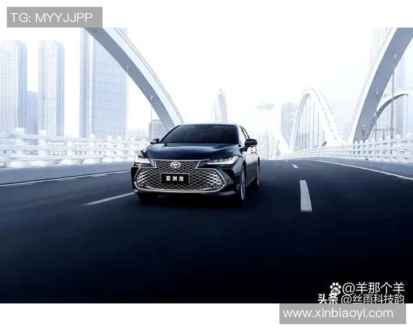 广州足球队在洲际杯积分榜上以95分稳居第一名展现强劲实力